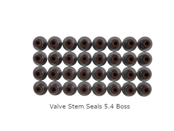 Boss 5.4 valve stem seals Gaskets & Seals Boss 5.4